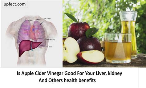 is malt vinegar good for your liver